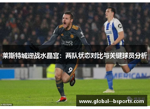 莱斯特城迎战水晶宫:两队状态对比与关键球员分析 莱斯特城迎战水晶宫:两队状态对比与关键球员分析