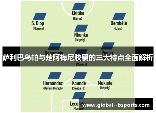 萨利巴乌帕与楚阿梅尼胶囊的三大特点全面解析