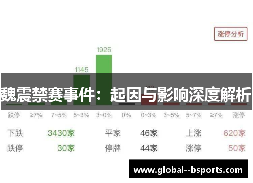 魏震禁赛事件:起因与影响深度解析 魏震禁赛事件:起因与影响深度解析