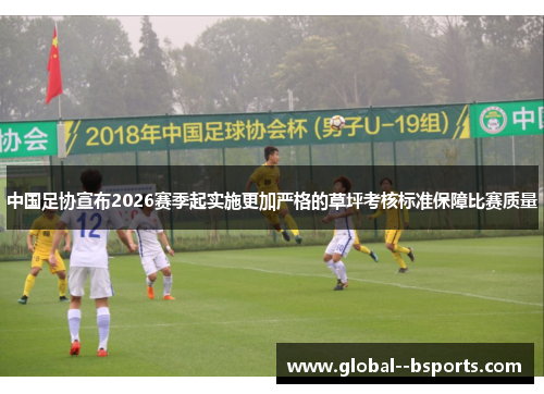 中国足协宣布2026赛季起实施更加严格的草坪考核标准保障比赛质量 中国足协宣布2026赛季起实施更加严格的草坪考核标准保障比赛质量